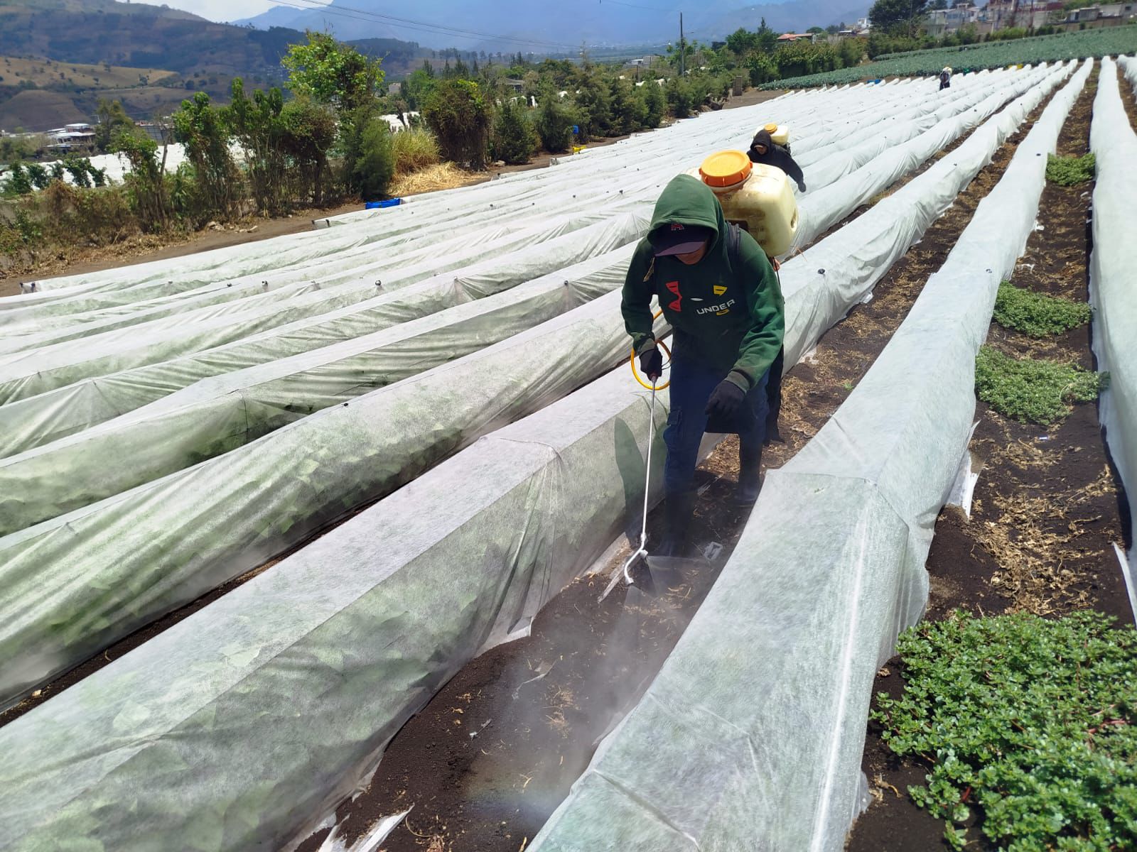 Recomendación Biozono