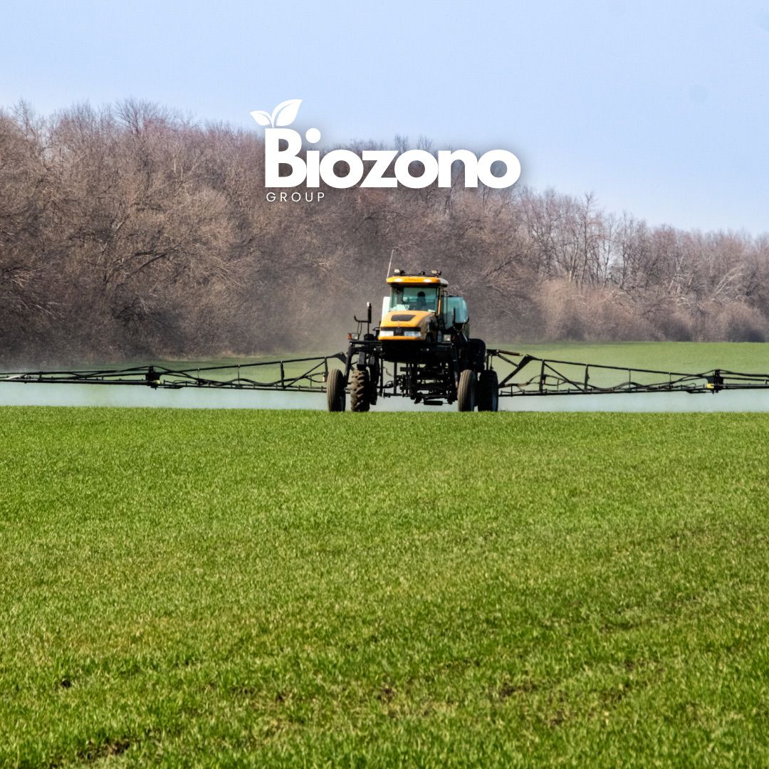 Resultados Comprobados