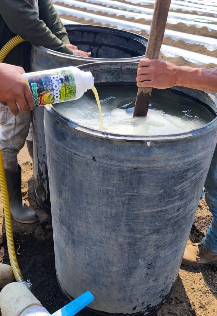 Frecuencia de Aplicación